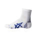 ASICS 2PPK Cushion Run Quarter Socks
