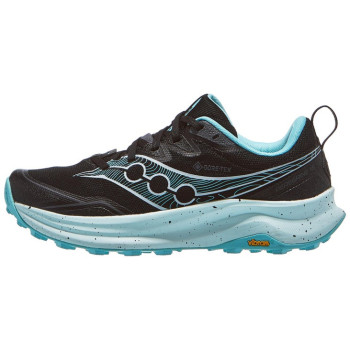 Saucony Peregrine 16 GTX Women's Shoes Black/Aqua
